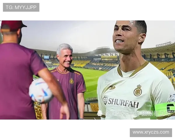 南京排球队技术争议引发热议球迷与专家各执己见探讨战术选择